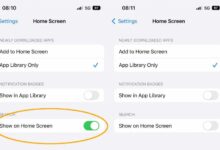 How To Get Rid Of iOS 16 Search Button From Home Screen