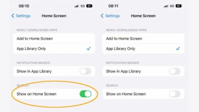 How To Get Rid Of iOS 16 Search Button From Home Screen